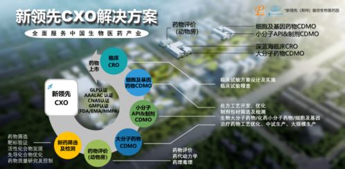 临空新领先CXO医药一体化服务体系亮相中国生物医药创新合作大会 新材料技术推广服务